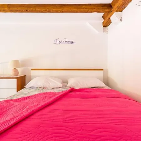 Carpe Diem On The Main Street - Stradun Apartment *