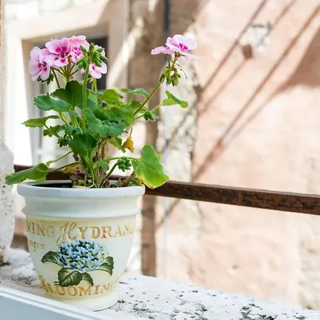 Apartamento Carpe Diem On The Main Street - Stradun