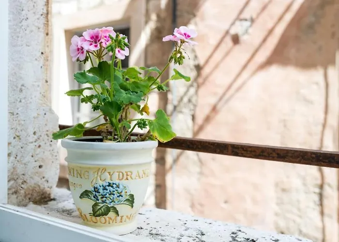 Apartman Carpe Diem On The Main Street - Stradun